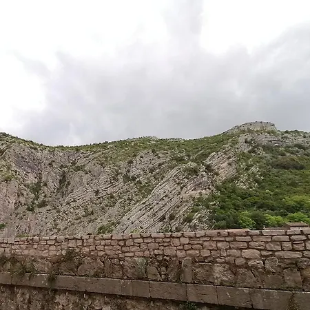 L'hirondelle *